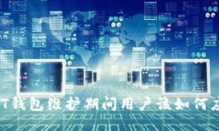 USDT钱包维护期间用户该如何应对？