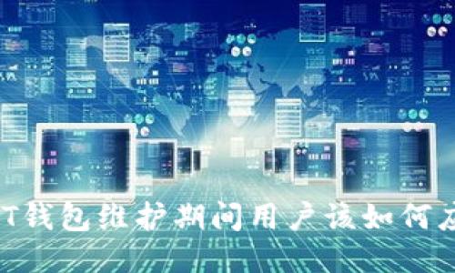 USDT钱包维护期间用户该如何应对？
