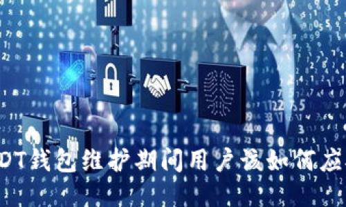 USDT钱包维护期间用户该如何应对？