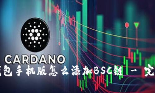 小狐钱包手机版怎么添加BSC链 - 完整指南