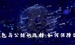 深入解析比特币钱包与公链的选择：如何保障你