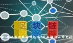 USDT能放在比特币钱包吗？全面解读与常见问题