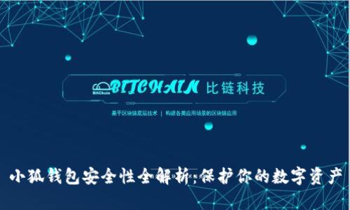 小狐钱包安全性全解析：保护你的数字资产
