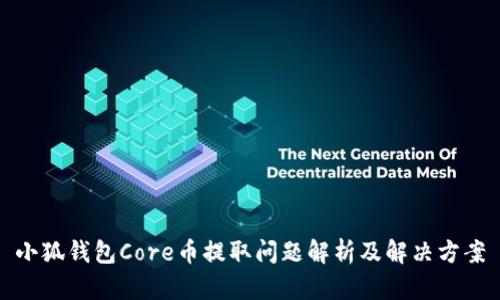 小狐钱包Core币提取问题解析及解决方案