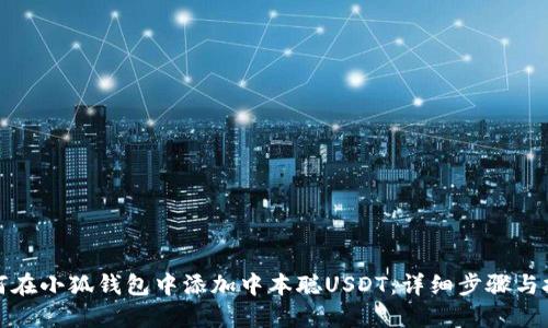 如何在小狐钱包中添加中本聪USDT：详细步骤与技巧