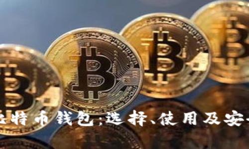 深入了解比特币钱包：选择、使用及安全性全解析