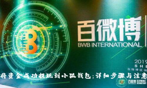 如何将资金成功提现到小狐钱包：详细步骤与注意事项