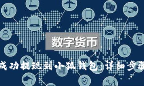 如何将资金成功提现到小狐钱包：详细步骤与注意事项