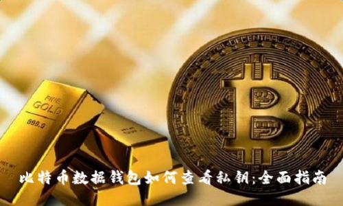 比特币数据钱包如何查看私钥：全面指南