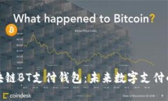 深入了解区块链BT支付钱包
