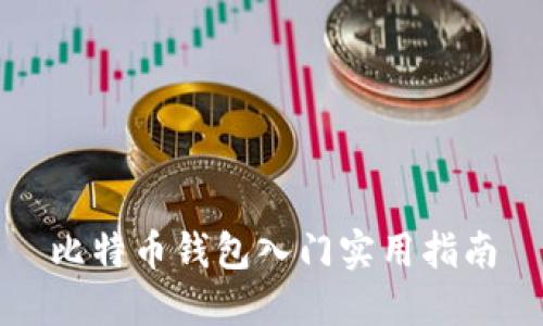 比特币钱包入门实用指南
