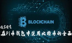 .dataset如何在Pi币钱包中使