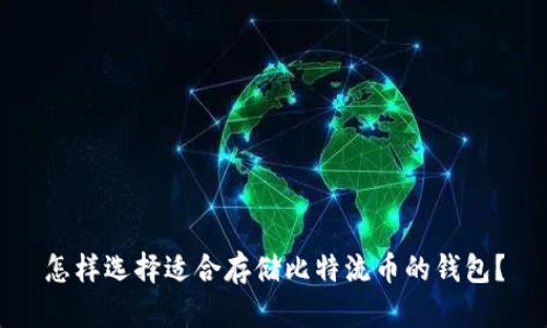 怎样选择适合存储比特流币的钱包？