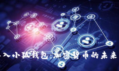 中本聪导入小狐钱包：加密货币的未来与安全性