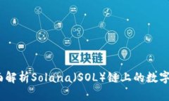 小狐钱包：全面解析Sola