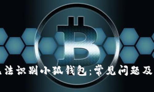为什么无法识别小狐钱包：常见问题及解决方案