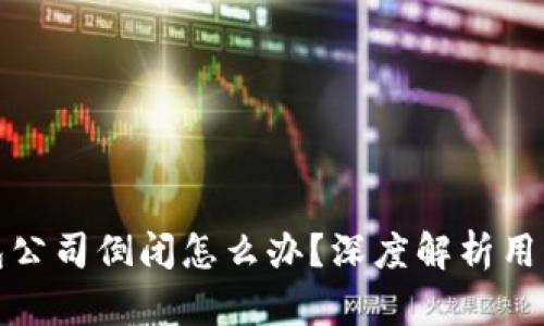 比特币钱包公司倒闭怎么办？深度解析用户应对策略