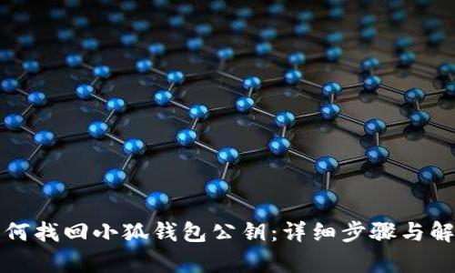 如何找回小狐钱包公钥：详细步骤与解析