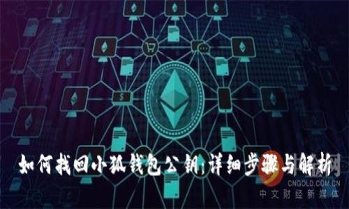 如何找回小狐钱包公钥：详细步骤与解析