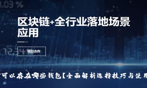 USDT可以存在哪些钱包？全面解析选择技巧与使用指南