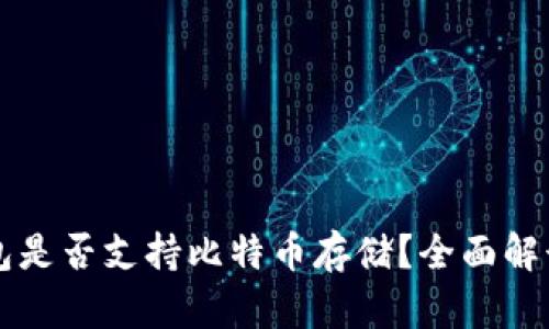 Token.im钱包是否支持比特币存储？全面解读与使用指南