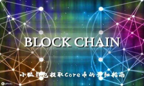 小狐钱包提取Core币的详细指南