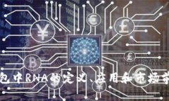 小狐钱包中RNA的定义、应