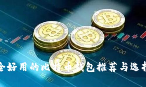 最安全好用的比特币钱包推荐与选择指南
