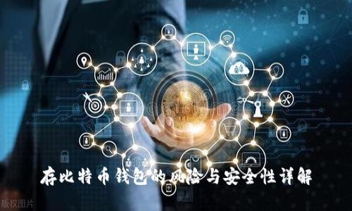 存比特币钱包的风险与安全性详解