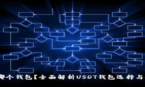 USDT用哪个钱包？全面解析USDT钱包选择与使用技巧