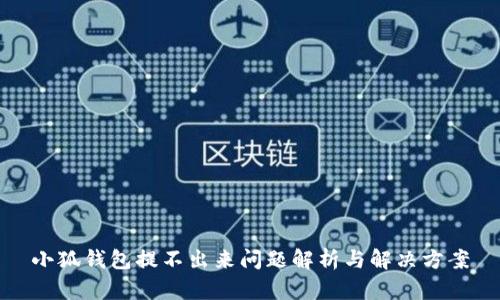 小狐钱包提不出来问题解析与解决方案