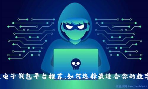 区块链电子钱包平台推荐：如何选择最适合你的数字钱包？