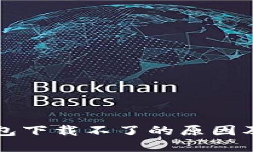 比特币钱包下载不了的原因及解决方法