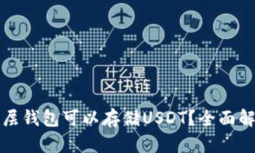 什么单底层钱包可以存储USDT？全面解析及推荐