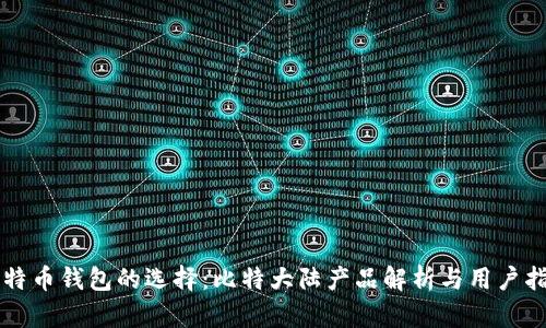 比特币钱包的选择：比特大陆产品解析与用户指南