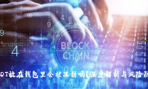 USDT放在钱包里会被冻结吗？深度解析与风险防范