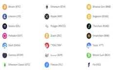 支持ERC20 USDT钱包的最佳选