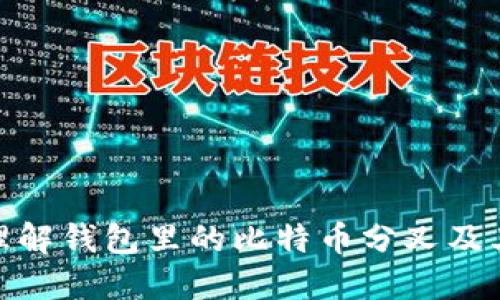 如何理解钱包里的比特币分叉及其影响