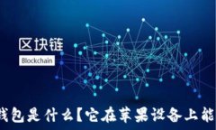   虚拟币钱包是什么？它在