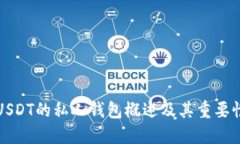USDT的私人钱包概述及其重