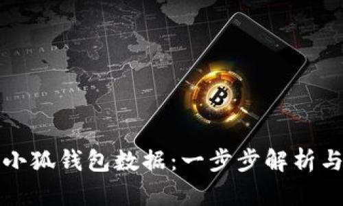 如何导入小狐钱包数据：一步步解析与实用指南