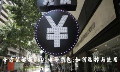 全方位解析USDT电子钱包：