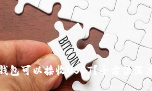 哪些钱包可以接收USDT？全方位深度指南