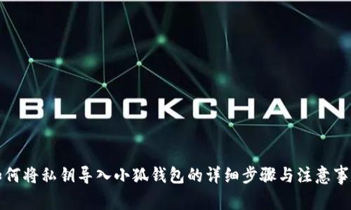 如何将私钥导入小狐钱包的详细步骤与注意事项