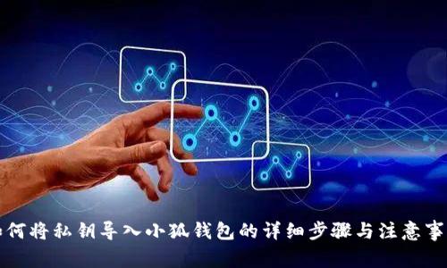 如何将私钥导入小狐钱包的详细步骤与注意事项