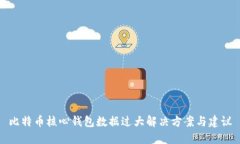 比特币核心钱包数据过大解决方案与建议