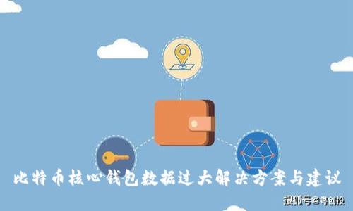 比特币核心钱包数据过大解决方案与建议
