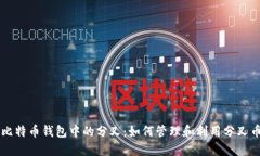 比特币钱包中的分叉：如何管理和利用分叉币