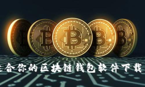 如何选择适合你的区块链钱包软件下载与安装指南