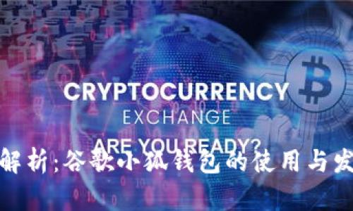 : 全面解析：谷歌小狐钱包的使用与发展前景